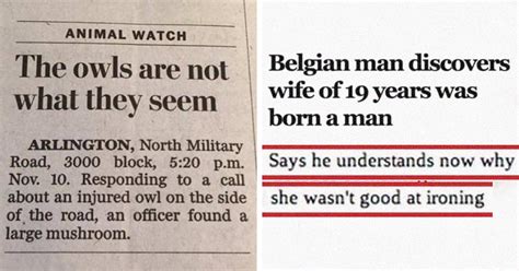 Weird news: Bizarre & funny stories .